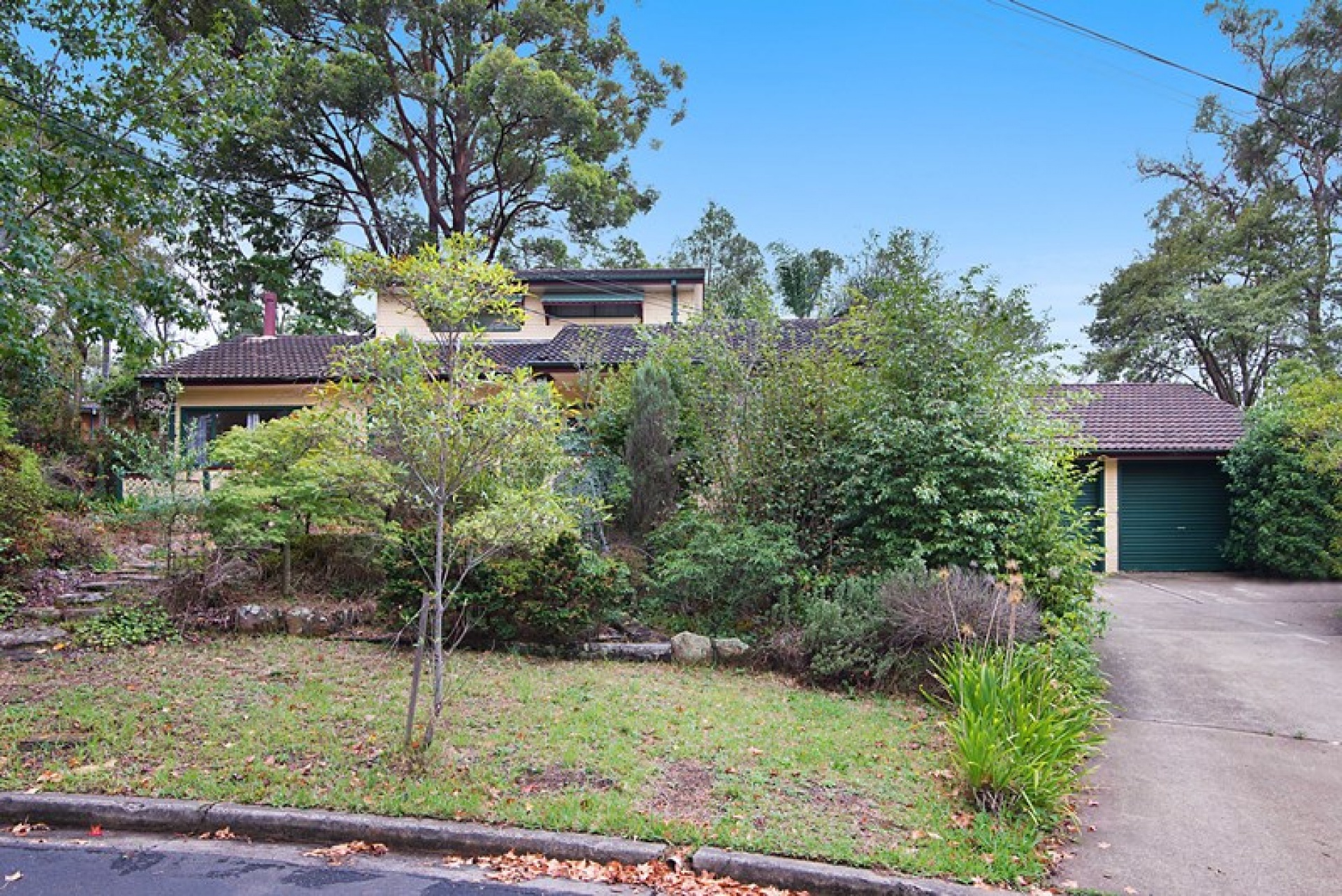 3 Rooms, House, Leased, Roger Avenue, 1 Bathrooms, Listing ID 1217, Castle Hill, NSW, Australia,